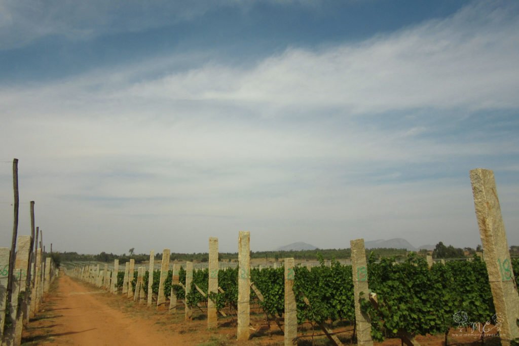 grover zampa vineyards