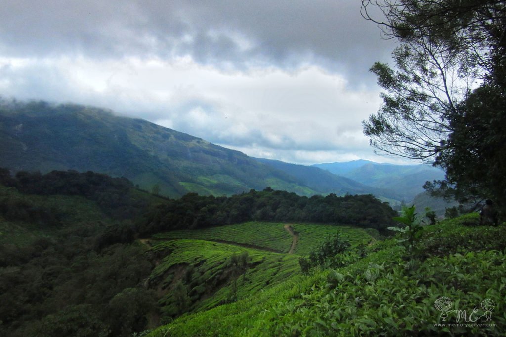 Munnar neelakurinji trek - view from anamudi
